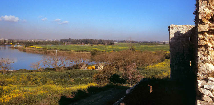 Tel Aphek's view of the headwaters of Yarkon River