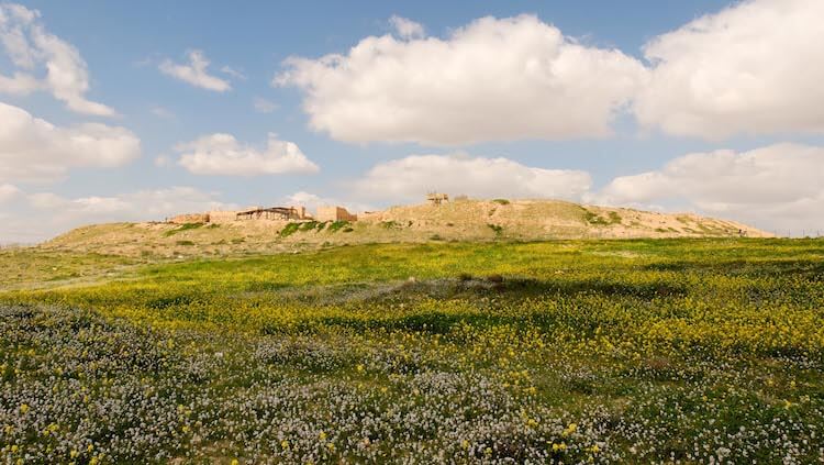 3 Sites by Beersheba You Seldom See—Arad, Besor, and Aroer