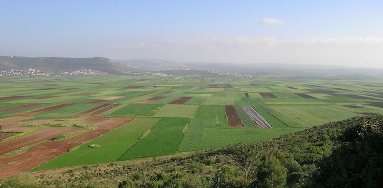 Bet Netofa Valley