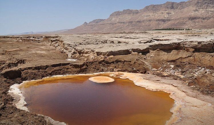 Earth Day 2022 - Report on the Dead Sea's Status