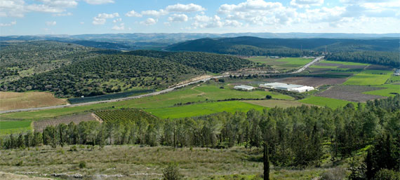 The Elah Valley, where David fought Goliath