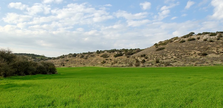 Elah Valley, the area where David fought Goliath