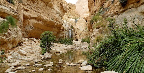 (Photo: a hidden waterfall at En Gedi's Nahal Arugot