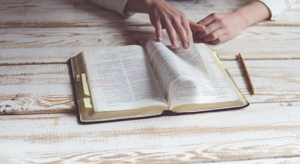 FREE Resources for Your Bible Reading This Year