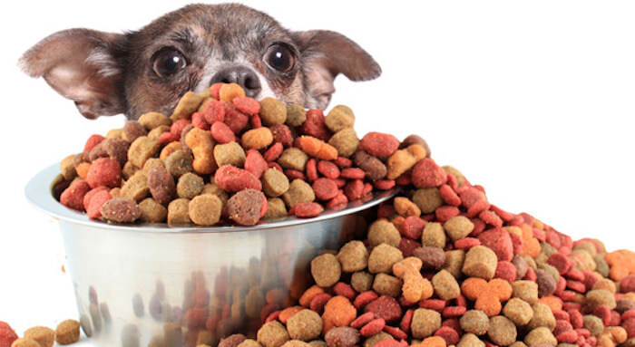 How a Bag of Dog Food Exposed My Pride