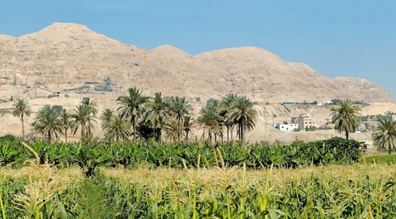 Jericho—The City of Palms and Pilgrims