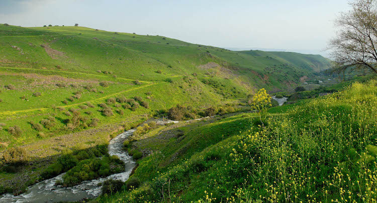 The winding Jordan River north of Sea of Galilee