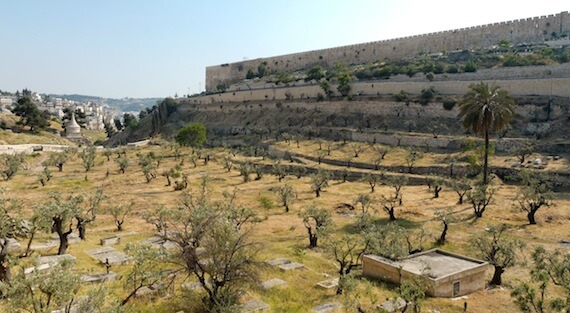 The Kidron Valley with olive trees and graves