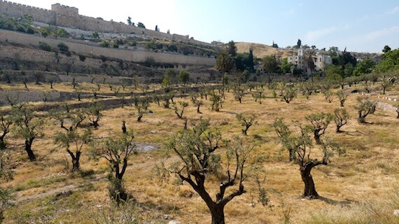 The Kidron Valley and the Old City Walls