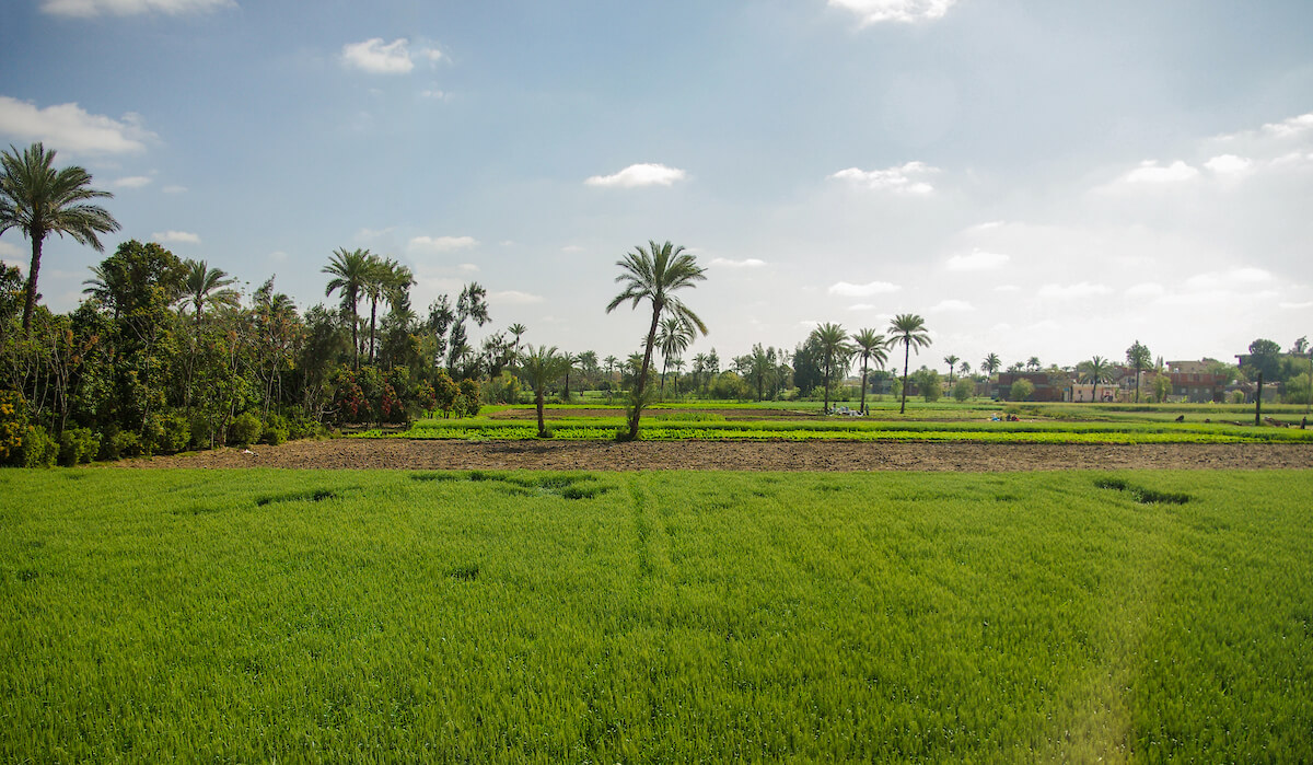 Land O Goshen in Eastern Nile Delta
