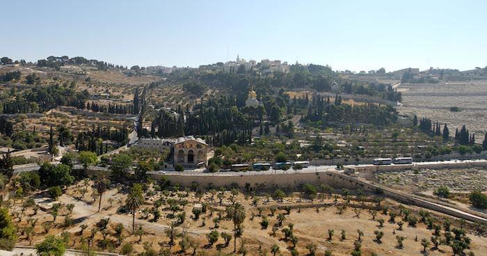 Mount of Olives—The Place of God's Coming, Going, and Coming