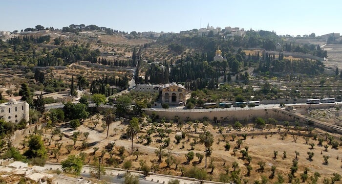 Mount of Olives from Jerusalem
