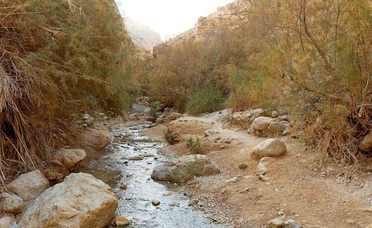 Water still flows from the Nahal Bokek