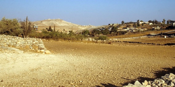 Shepherds' Fields near Bethlehem