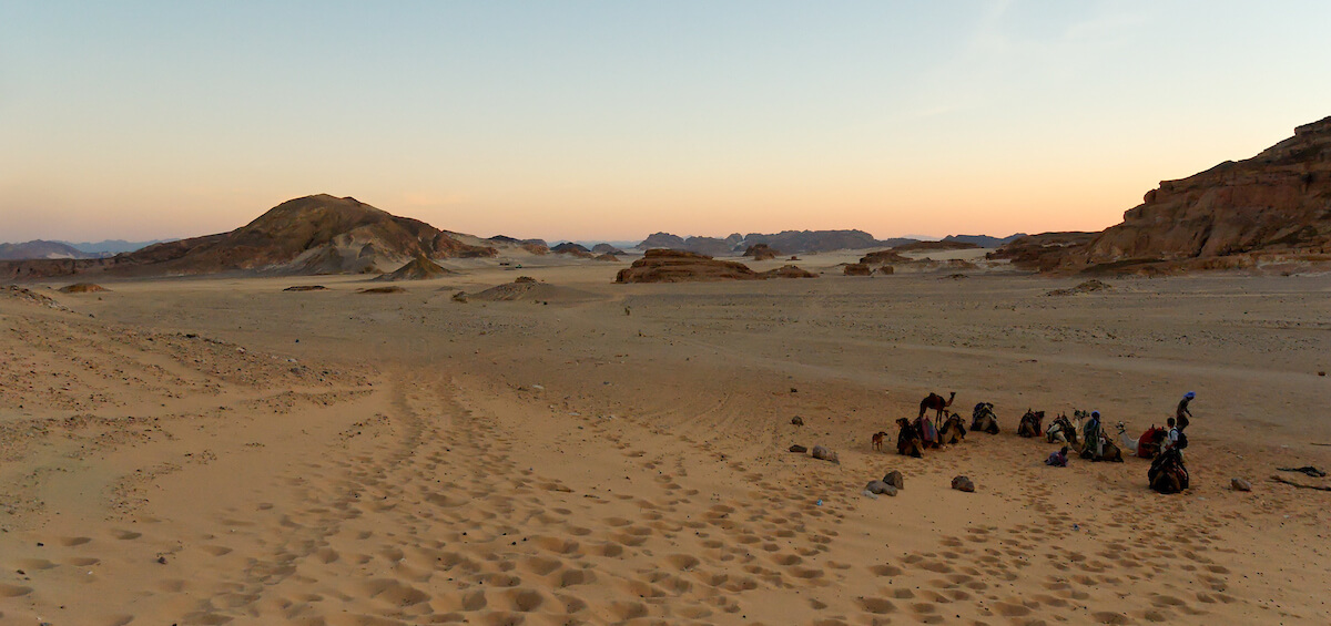 Sinai desert