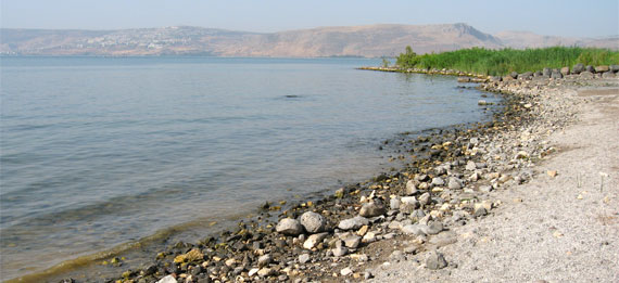 Shores of Tabgha, beside the Sea of Galilee